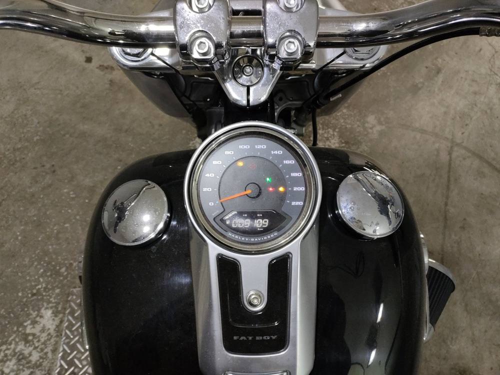 HD FATBOY FLFBS1868 2019, рама 5HD1YGKE7JC064624 – мотоцикл из Японии с аукциона JBA, фото 5