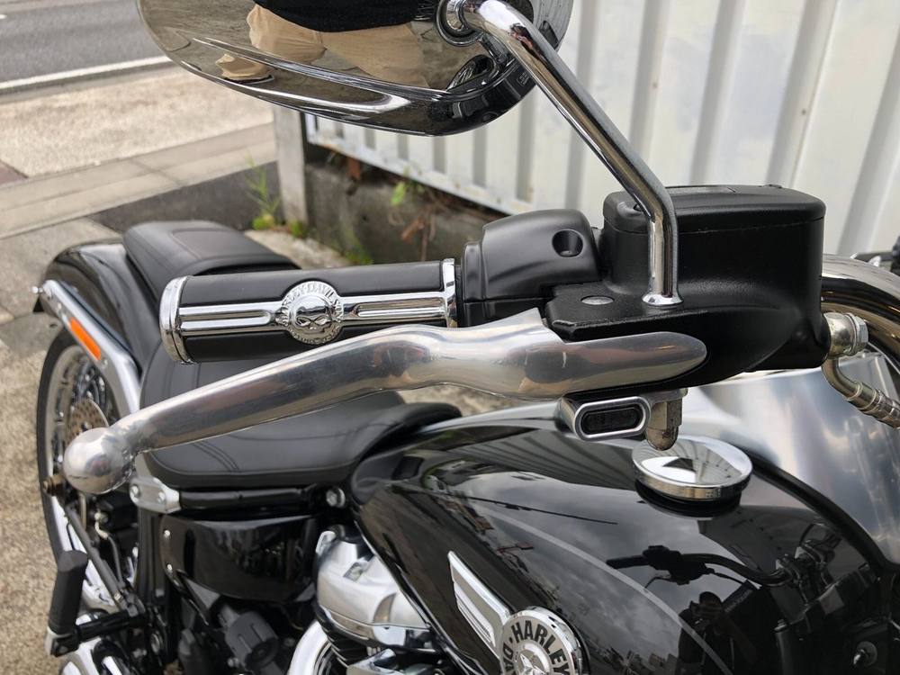 HD HARLEY FLFBS 2018, рама 5HD1YGKE8JC023175 – мотоцикл из Японии с аукциона IAUC, фото 4
