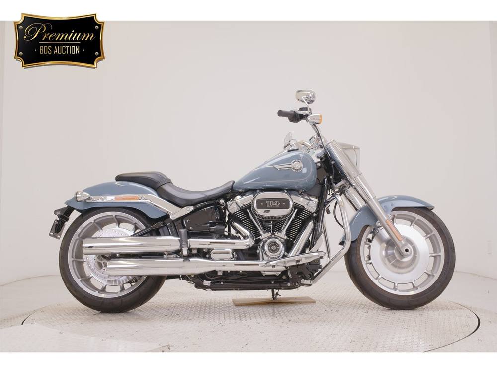 HD FATBOY FLFBS1868 2025, рама 5HD1YGK52RS018667 – мотоцикл из Японии с аукциона BDS, фото 1