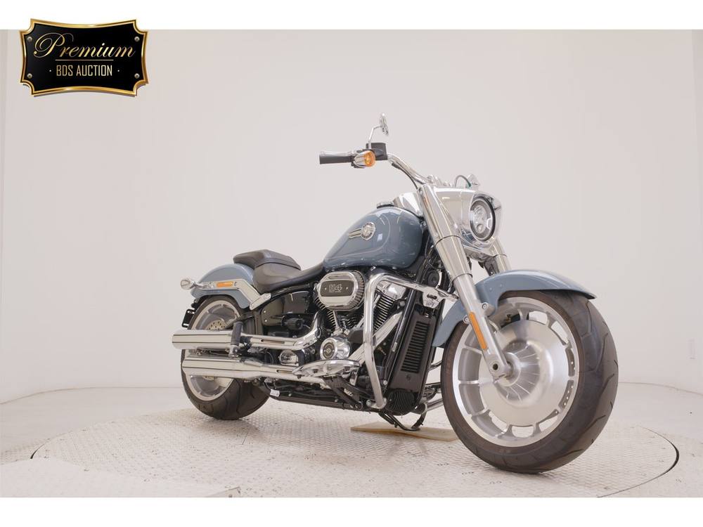 HD FATBOY FLFBS1868 2025, рама 5HD1YGK52RS018667 – мотоцикл из Японии с аукциона BDS, фото 3