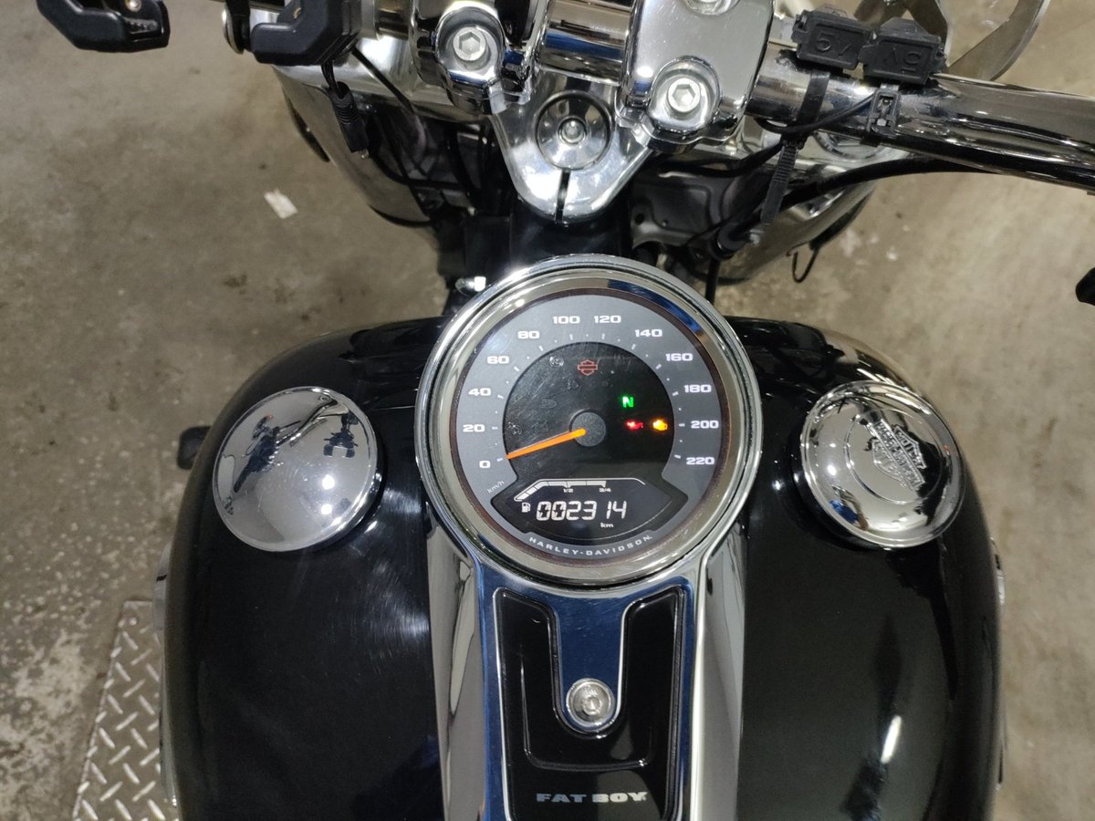 HD FATBOY FLFBS1868 2021, рама 5HD1YGK52MB011534 – мотоцикл из Японии с аукциона JBA, фото 5