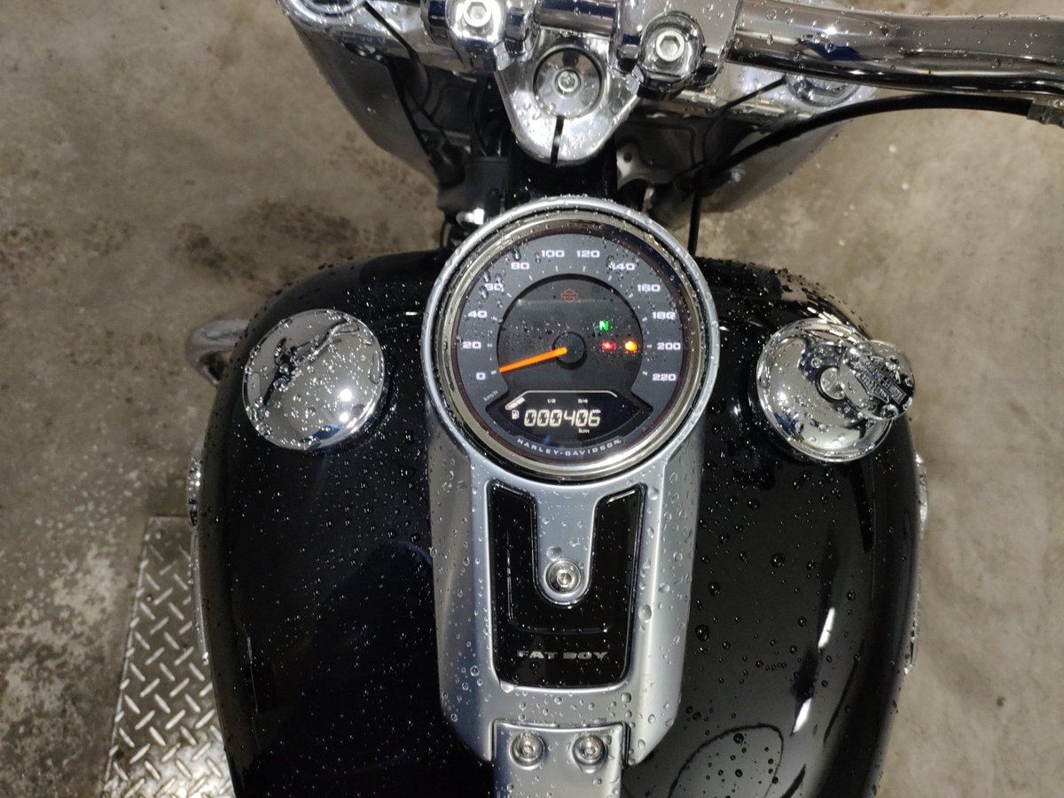 HD FATBOY FLFBS1868 2019, рама 5HD1YGK59LB023615 – мотоцикл из Японии с аукциона JBA, фото 5