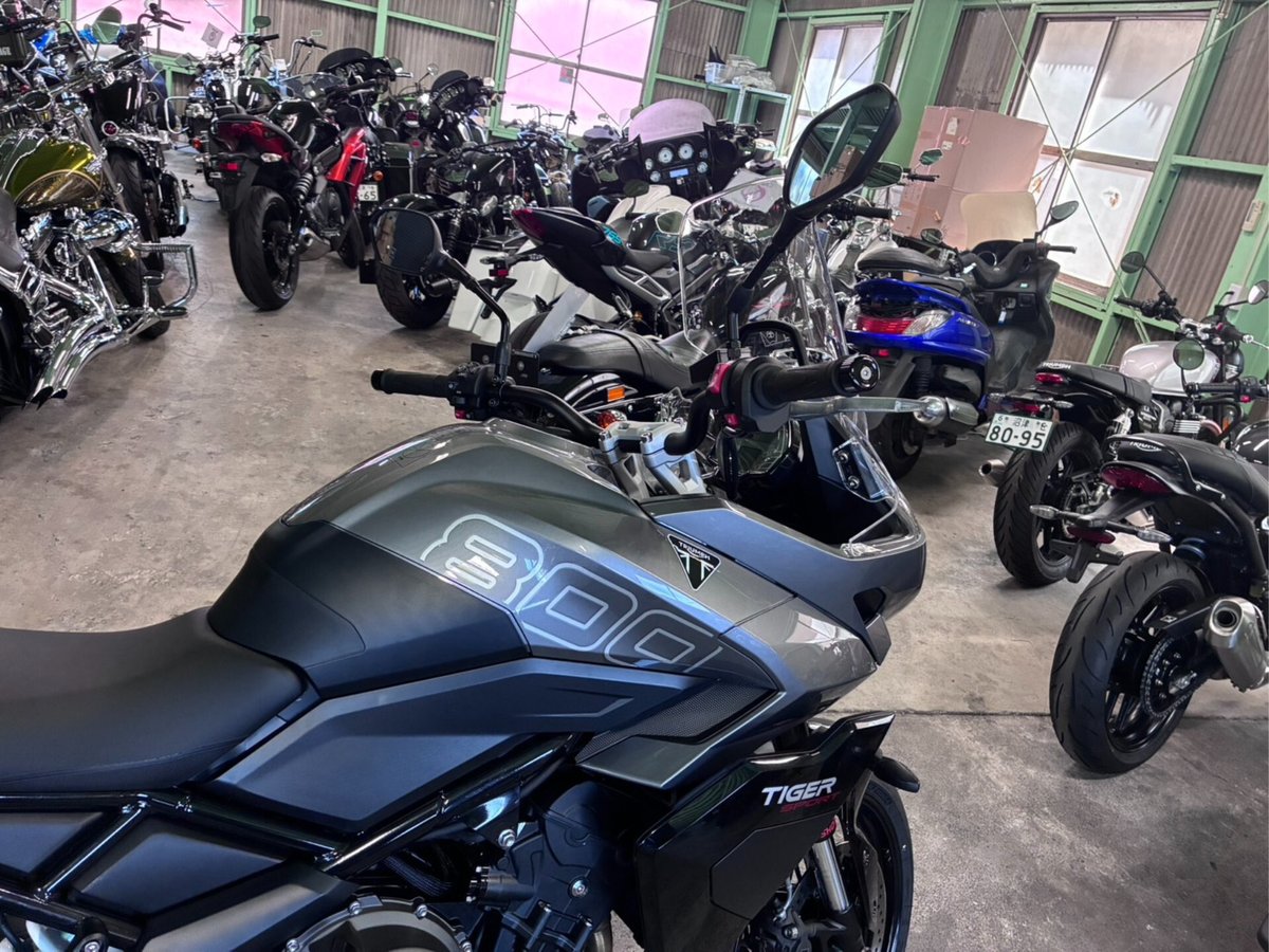 Triumph TIGER SPORT 800 2026, рама SMTL25P16VTCV6*** – мотоцикл из Японии с аукциона IAUC, фото 3