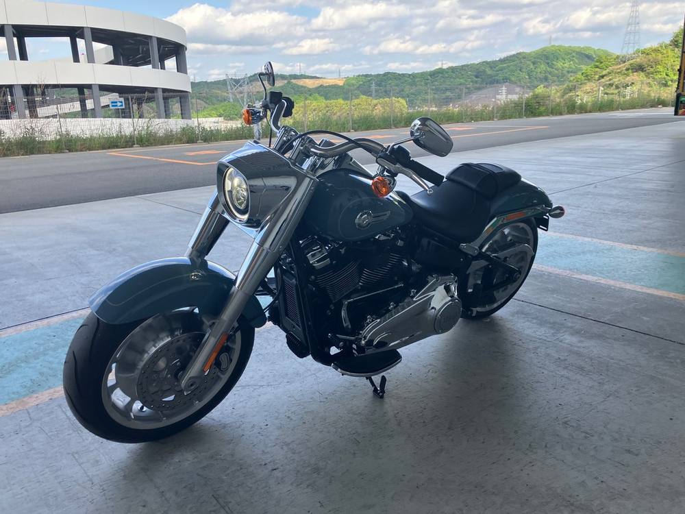 HD HARLEY FLFBS 2025, рама 5HD1YGK52RS045*** – мотоцикл из Японии с аукциона IAUC, фото 1