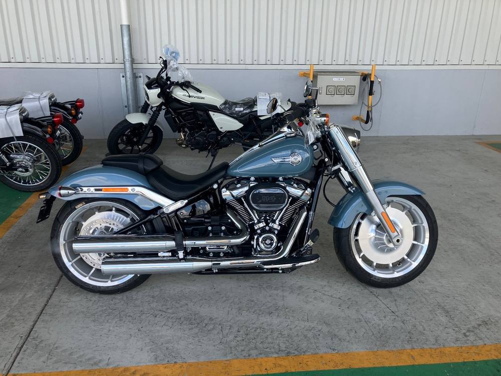 HD HARLEY FLFBS 2025, рама 5HD1YGK52RS045*** – мотоцикл из Японии с аукциона IAUC, фото 4