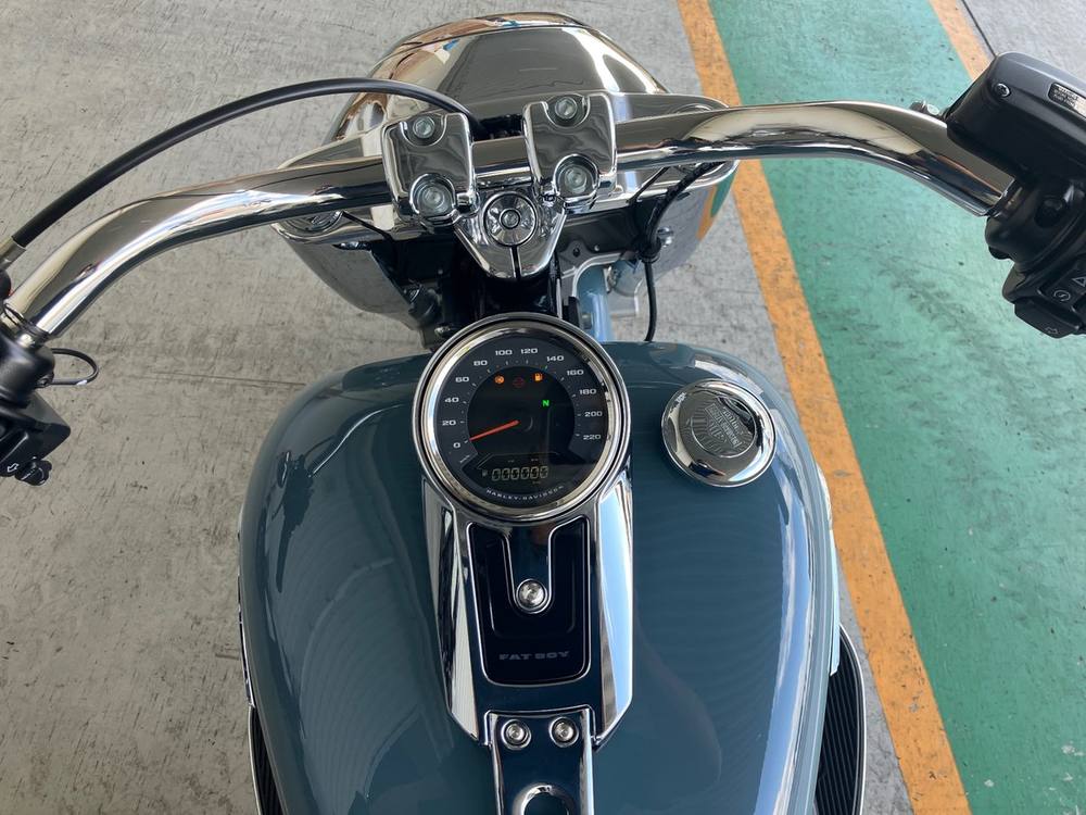 HD HARLEY FLFBS 2025, рама 5HD1YGK52RS045*** – мотоцикл из Японии с аукциона IAUC, фото 5