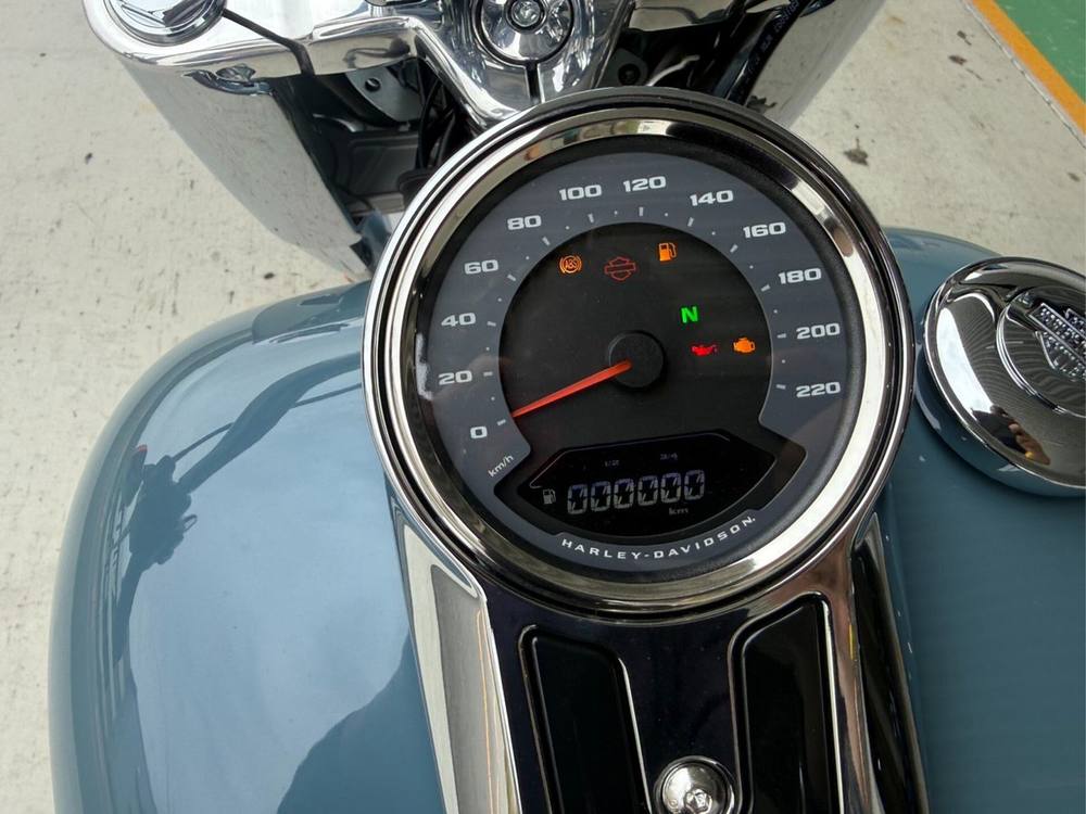 HD HARLEY FLFBS 2025, рама 5HD1YGK52RS045*** – мотоцикл из Японии с аукциона IAUC, фото 6
