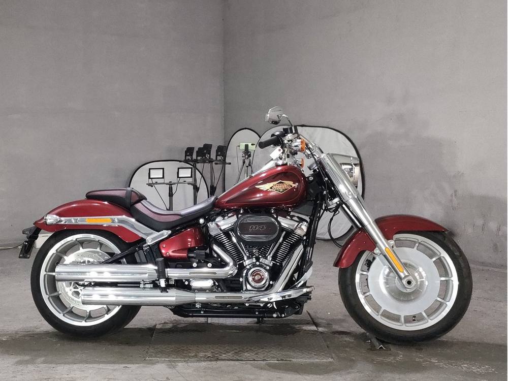HD HARLEY FLFBS 2023, рама 5HD1BBK51PS042816 – мотоцикл из Японии с аукциона JBA, фото 1