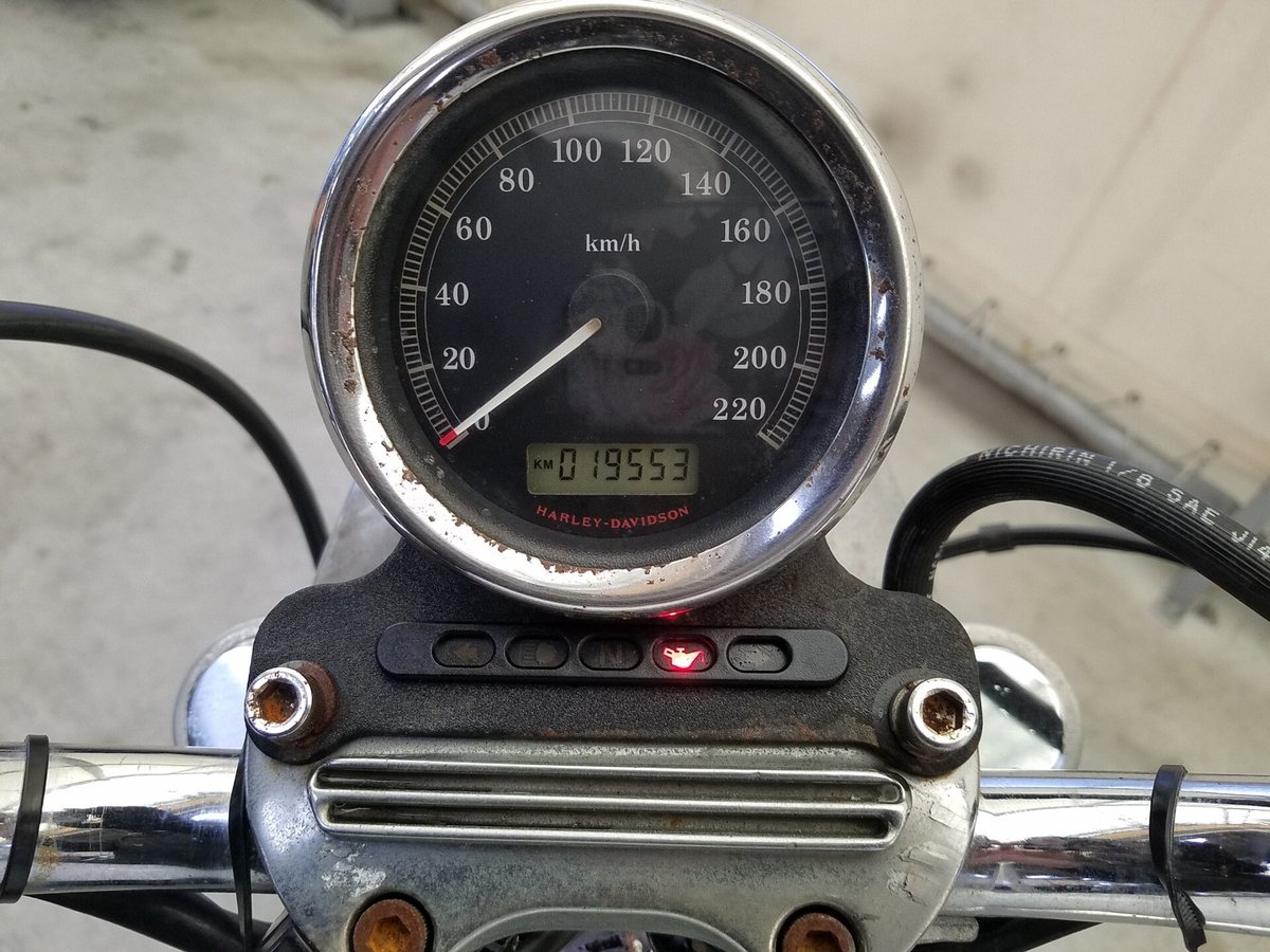 HD SPORTSTER XL883L 2008, рама 5HD4CR2198K437585 – мотоцикл из Японии с аукциона IAUC, фото 3