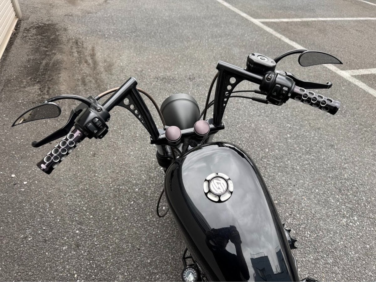 HD SPORTSTER XL1200N 2008, рама 5HD1CZ3108K464904 – мотоцикл из Японии с аукциона IAUC, фото 4