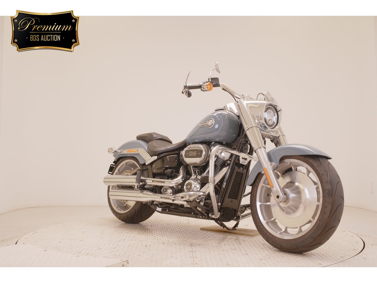 HD FATBOY FLFBS1868 2025, рама 5HD1YGK52RS018667 – мотоцикл из Японии с аукциона BDS, фото 3