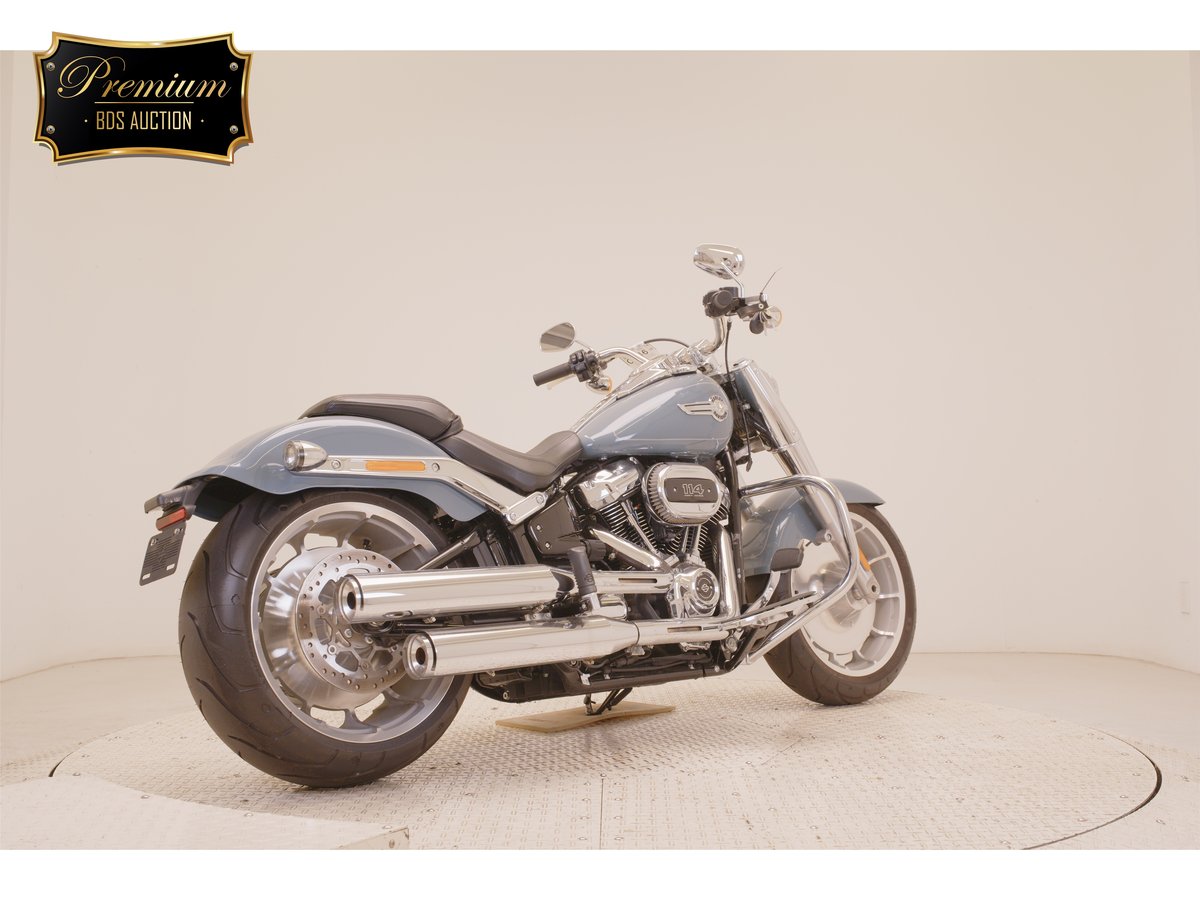 HD FATBOY FLFBS1868 2025, рама 5HD1YGK52RS018667 – мотоцикл из Японии с аукциона BDS, фото 5